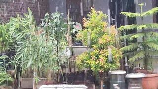 Rilexing rain sound