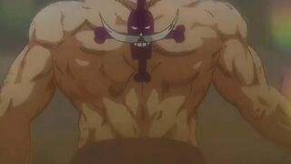 Shanks and whitebeard carried