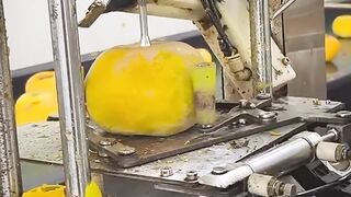 Mesin Pengupas Mangga