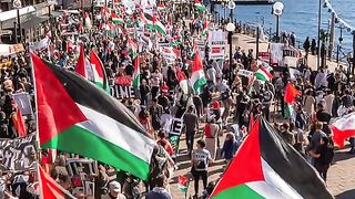 Free Palestine