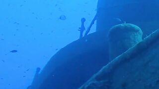 10 Fascinating Facts About Jellyfish  Mysterious Creatures of the Ocean