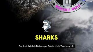Jaw-Dropping Facts About Sharks  Natures Ultimate Predator