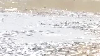 MAHLUK SUNGAI BARITO
