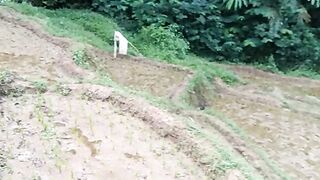 mp4 goo
