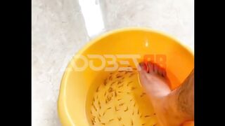 Niatnya terapi ikan buat relaks