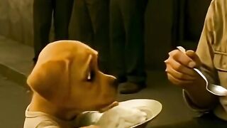 A small puppy finds an old man sitting alone, hungry, and forgotten