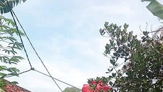 Kampung halaman