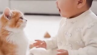 Baby Gets Upset at the Cat, So Cute and Funny!