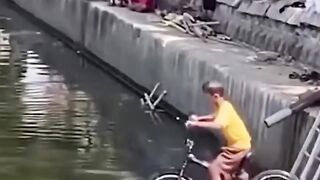 funny videos