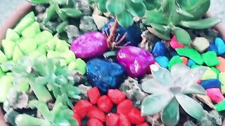New look flower with stone