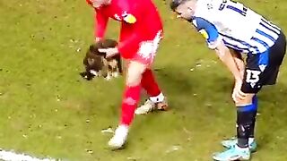 animals in football ????????