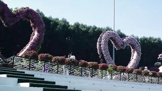 Miraccel garden