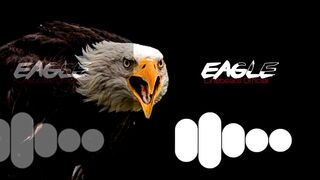 I like eagle and i inspire  because it is very powerful bird