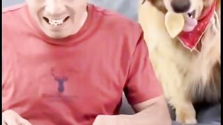 Funny dog video ????????