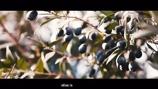 Olives