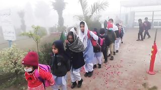 Wellcome Haiderian after winter vocation