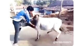 Just feel the pain