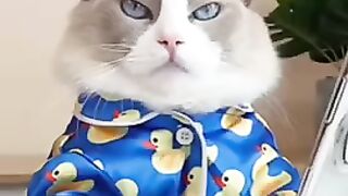2022 "This Little Puff" Tiktok Compilation