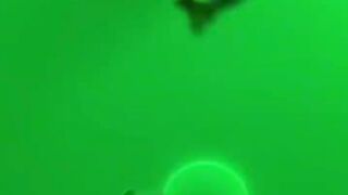 Cute and Funny animals compilation - 1