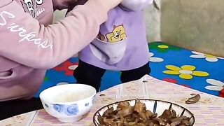 Funny kid video