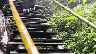 Funny videos