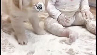 Baby Gets Hilarious Revenge on Puppy After a Sneaky Sneeze!