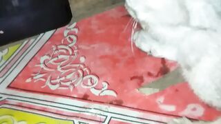 The cat is curious about the film in this phone haha