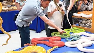 A Whole Animal Market Inside the Mall?!