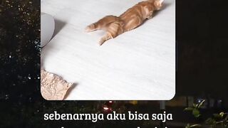 aku tuh kayak gini