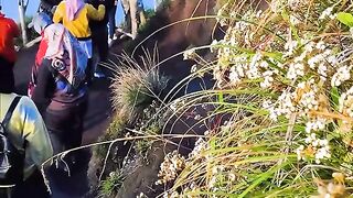 Bromo