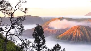 Bromo
