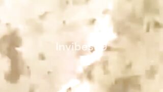 The Science of Exploding Animals