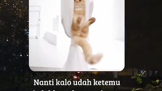 mau jewer kupingnya