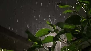 ASMR Relaxation