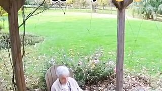 Loyal guard dog