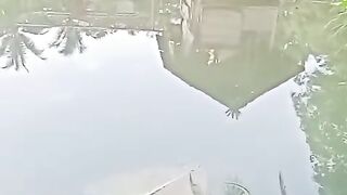 Mancing ikan