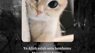 Doa terbaik