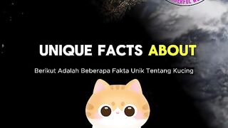 Fascinating Facts About Cats  Secrets of Your Feline Friend (Part 1)