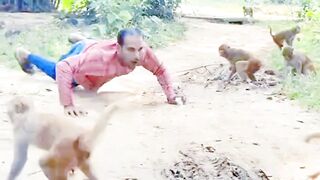 I really like having fun with monkeys.