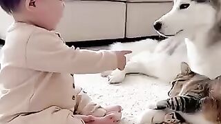 Babys Bang Stuns a Cat and a  Baby Two Victims