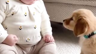 Cute baby and dog