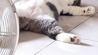 Hes tired