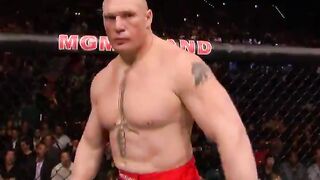 Brock Lesnar VS .