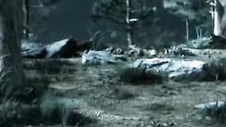 Wolf and gandalf
