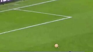 Pertemanan Ronaldo Dan Marcelo
