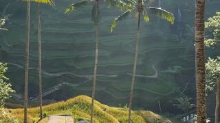 Bali island