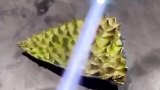Fireproof durian skin