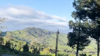 Hamparan kebun teh Ciwidey