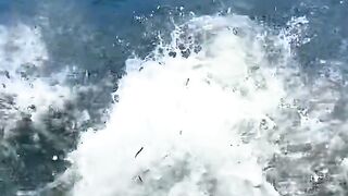 Funny Moment Catching a Tiny Fish with Style!