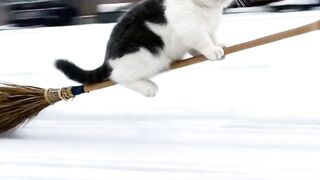 Use a flying broomstick